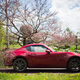 Image credit: Kristen Lee/Jalopnik